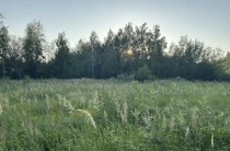 Продажа Участок 10 соток с газом — фото 1