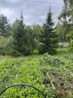 Продажа Купи — фото 1