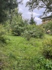 Продажа Купи — фото 5