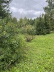 Продажа Купи — фото 6