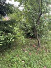 Продажа Купи — фото 9