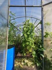 Продажа Удобная локация — фото 3