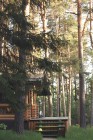 Продажа Коммерческая недвижимость (Гостиница, отель), 383.9 м² — фото 1