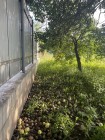 Продажа Дом с участком 12 сот в городе, асфальтиров дорога — фото 9