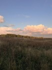 Продажа Зем.участок ИЖС по недорогой цене — фото 3