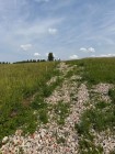 Продажа Участок с видом на город — фото 3