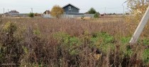 Продажа Участок правильно формы — фото 3