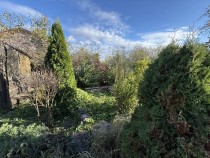 Продажа Дача в экологическом районе — фото 6