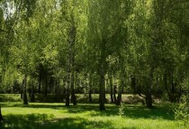 Продажа Замечательная возможность купить дачу! — фото 2