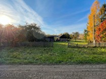 Продажа пол гектара земли у Волги — фото 4