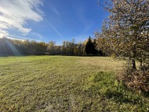 Продажа пол гектара земли у Волги — фото 10