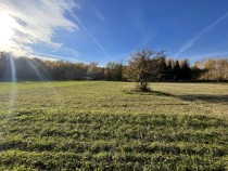 Продажа пол гектара земли у Волги — фото 1