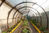 Продажа Дом по цене однокомнатной квартиры. — фото 19