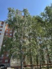 Продажа 1-комн. квартира, 34 м², 2/9 этаж — фото 8