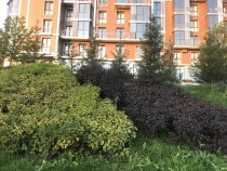 Продажа 1-комн. квартира, 36 м², 7/7 этаж — фото 1
