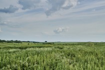 Продажа Земля сельскохозяйственного назначения — фото 13