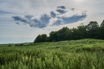 Продажа Земля сельскохозяйственного назначения — фото 12