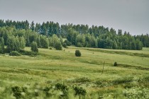 Продажа Земля сельскохозяйственного назначения — фото 11