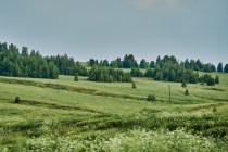 Продажа Земля сельскохозяйственного назначения — фото 10
