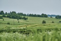 Продажа Земля сельскохозяйственного назначения — фото 9