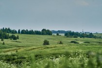Продажа Земля сельскохозяйственного назначения — фото 8