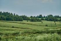 Продажа Земля сельскохозяйственного назначения — фото 5
