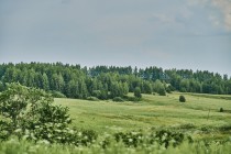 Продажа Земля сельскохозяйственного назначения — фото 4