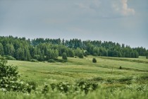 Продажа Земля сельскохозяйственного назначения — фото 3
