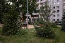 Продажа 1-комн. квартира, 46 м², 5/10 этаж — фото 20